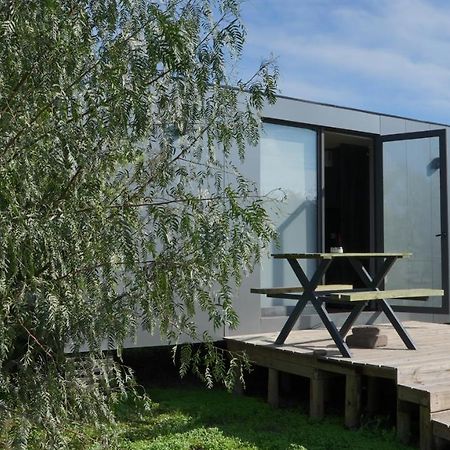 Tiny Colchagua Cabanas Y Padel Daire Santa Cruz Dış mekan fotoğraf