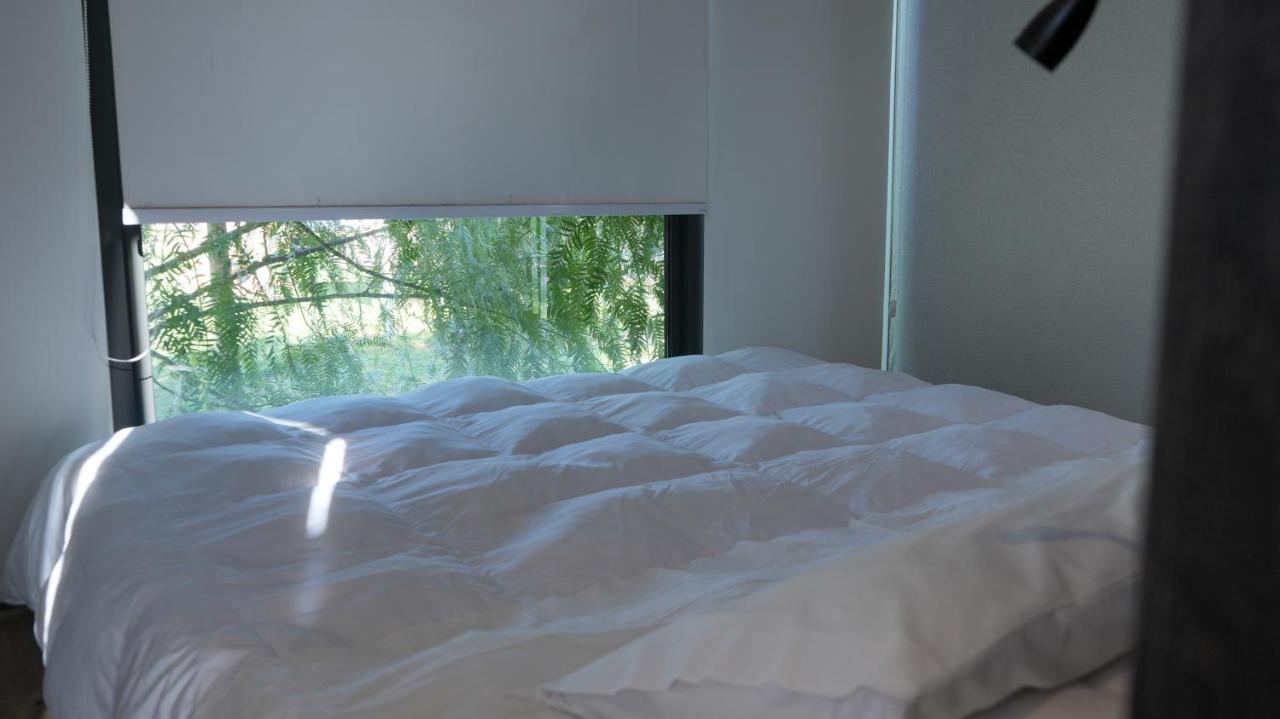 Tiny Colchagua Cabanas Y Padel Daire Santa Cruz Dış mekan fotoğraf