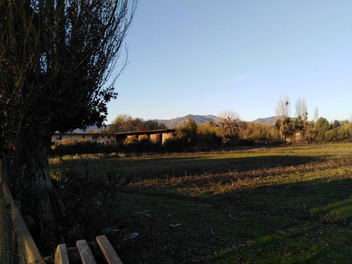 Tiny Colchagua Cabanas Y Padel Daire Santa Cruz Dış mekan fotoğraf